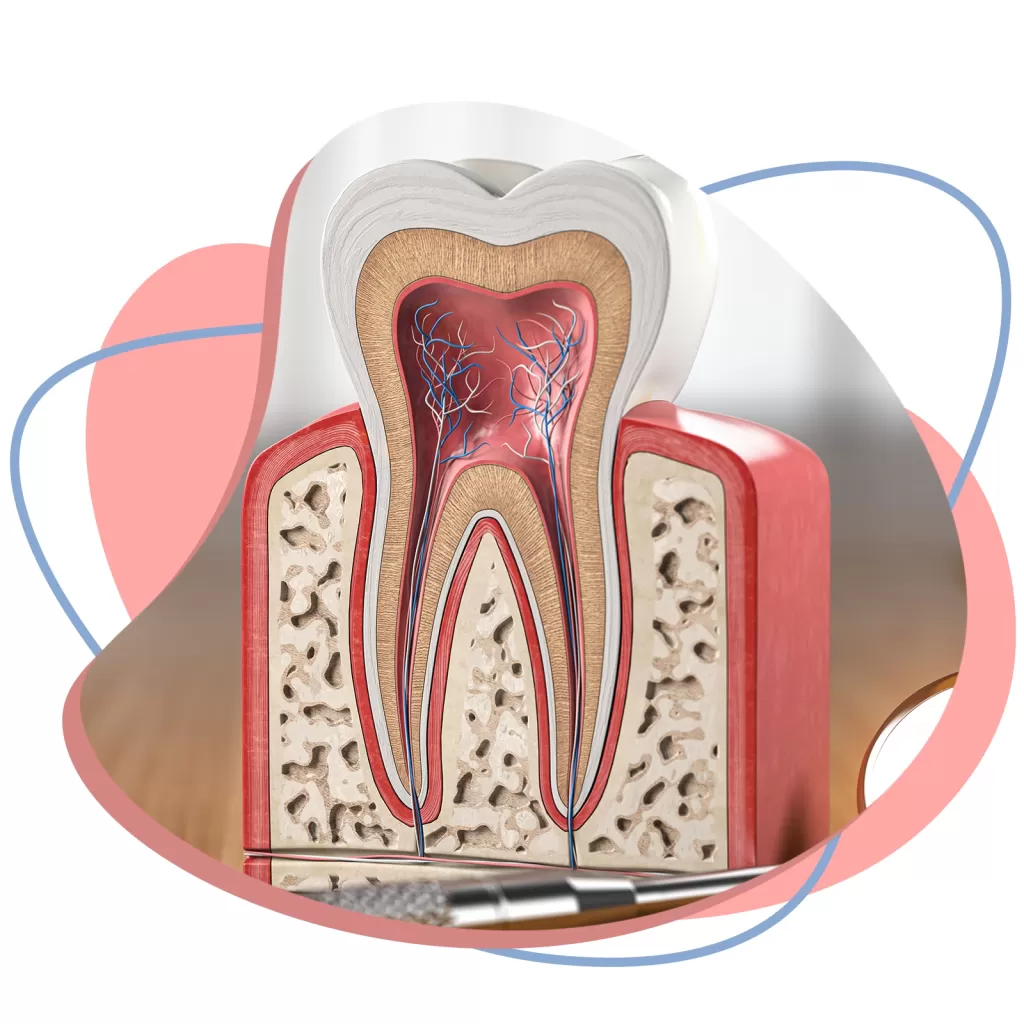 Endodontia